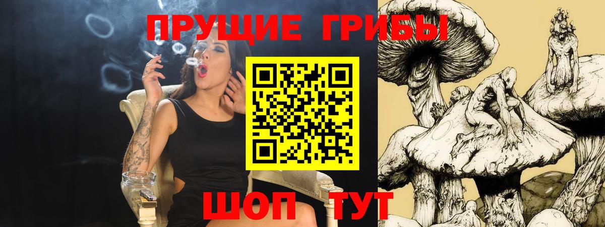 Кувандык  Псилоцибиновые грибы Cubensis  Псилоцибиновые грибы MAGIC MUSHROOMS  Вход с VPN 